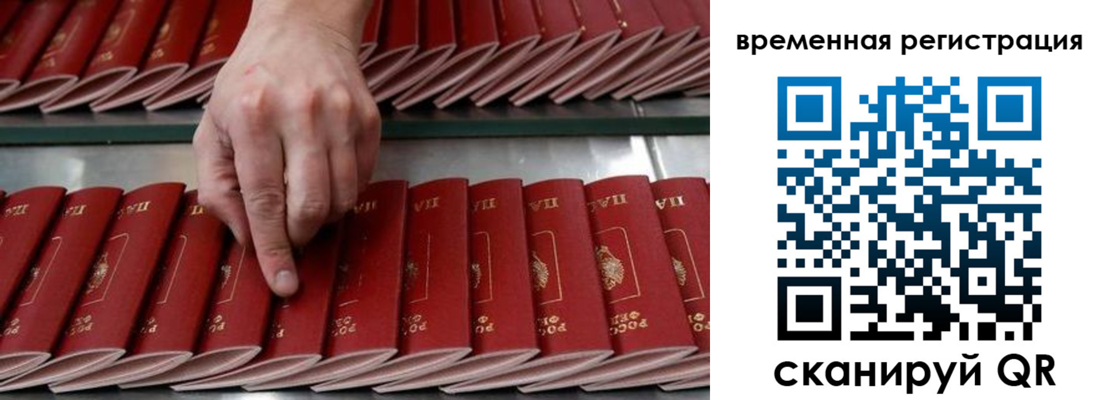 временная регистрация в квартире в Ртищево